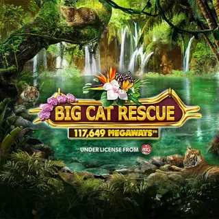 Big Cat Rescue Megaways - Red Tiger